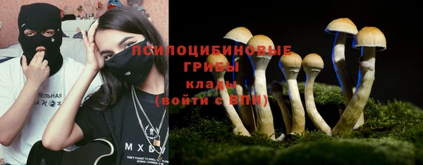 СК Арсеньев