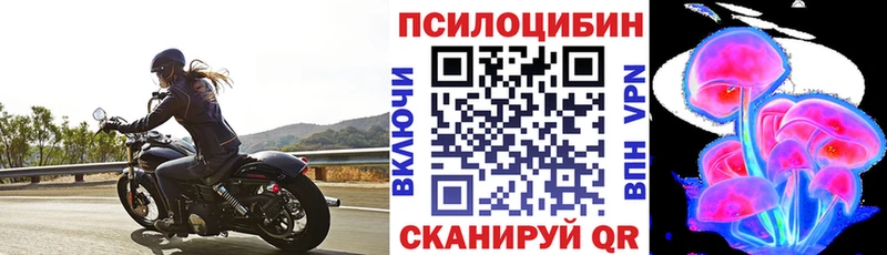 Псилоцибиновые грибы Psilocybine cubensis  Строитель 