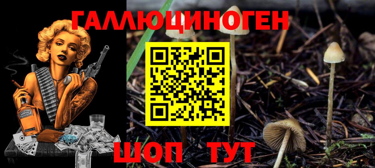 Псилоцибиновые грибы GOLDEN TEACHER  Вход с VPN  Псилоцибиновые грибы Psilocybine cubensis  Строитель 