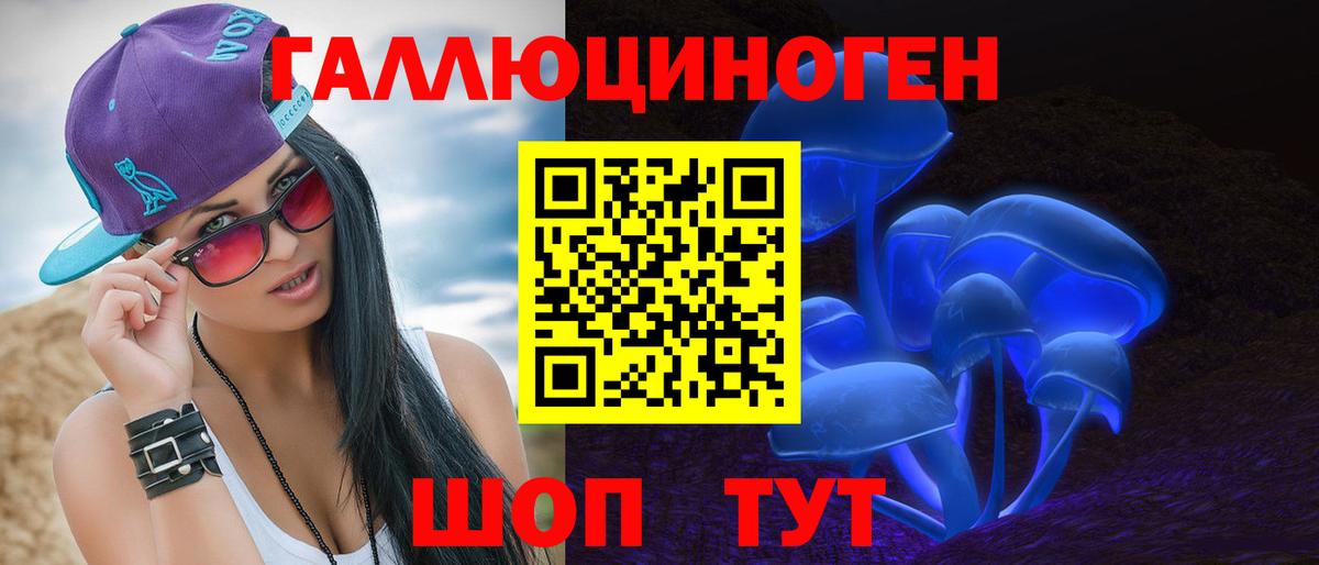 Галлюциногенные грибы Psilocybe Строитель