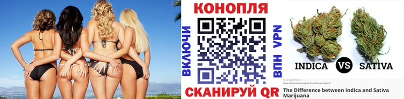 Марихуана SATIVA & INDICA MEGA ссылка Строитель цена